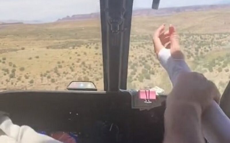 helicopter pilot grab brake