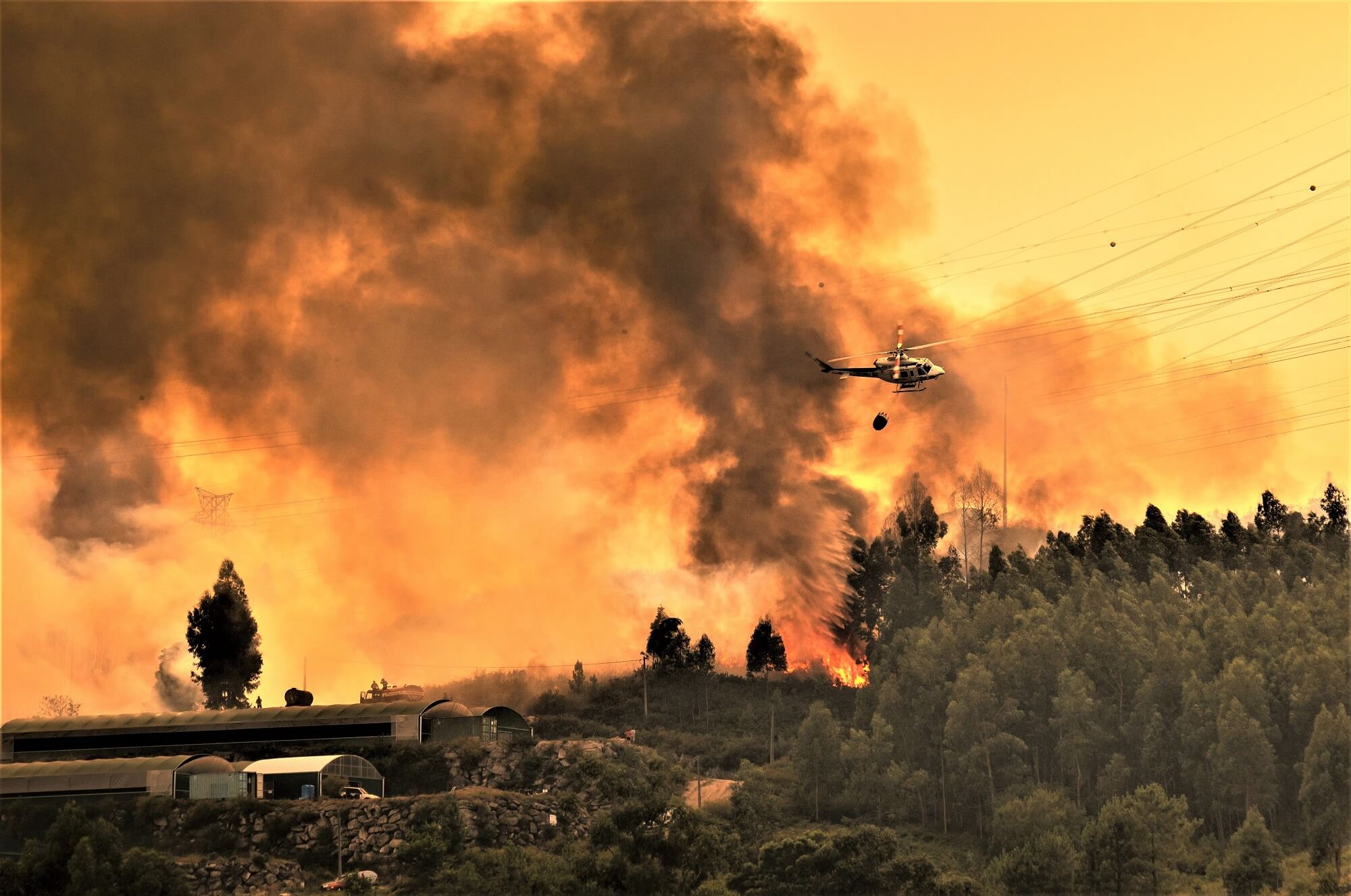 helicopter_fighting_against_a_forest_fire.jpg