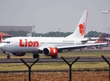 lion_air_boeing_737_max-1.jpg