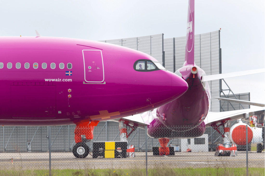 wow-air-fish-cargo-delay-revival.png